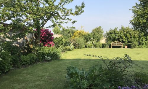 Aménagement jardin paysager : transformer un terrain encombré en espace familial