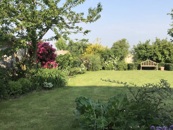 Aménagement jardin paysager : transformer un terrain encombré en espace familial